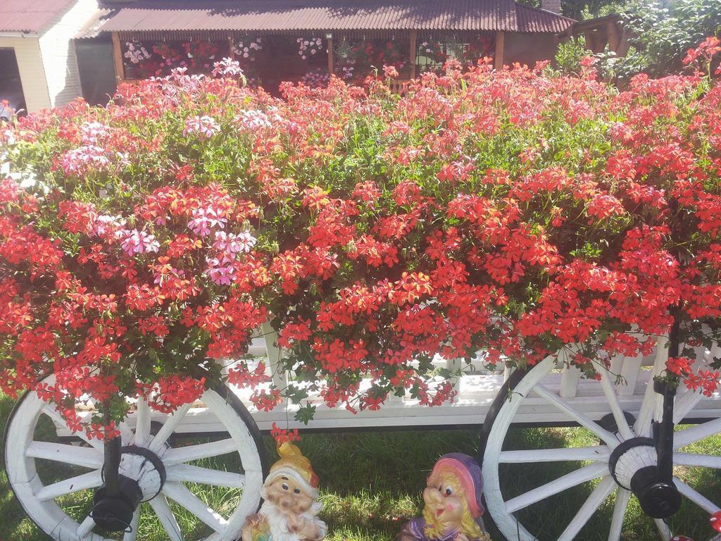 Casa Carmen Hotel Dorna Arini Luaran gambar