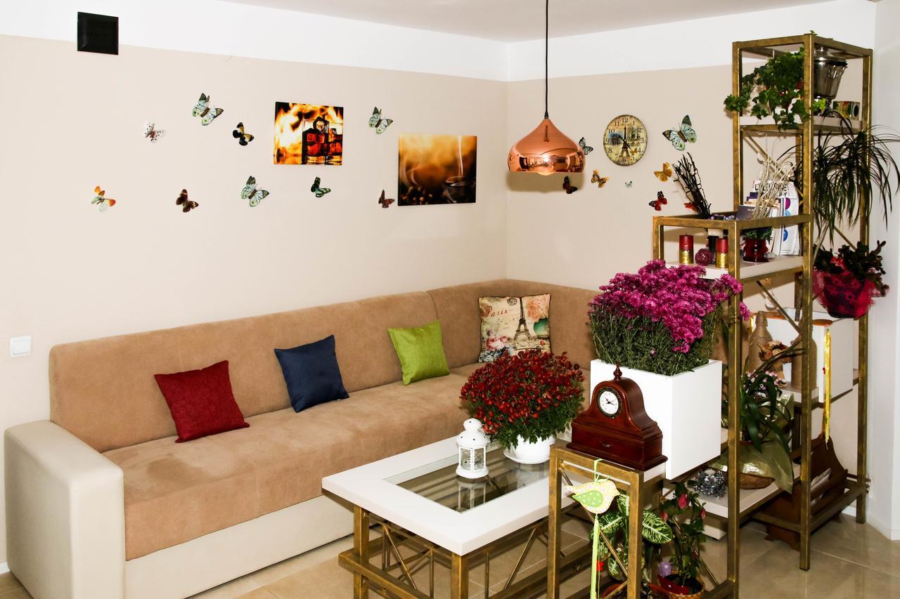 Casa Carmen Hotel Dorna Arini Luaran gambar